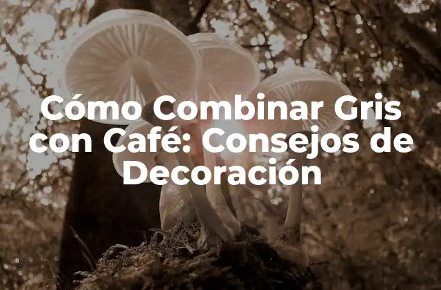Cómo Combinar Gris con Café: Consejos de Decoración