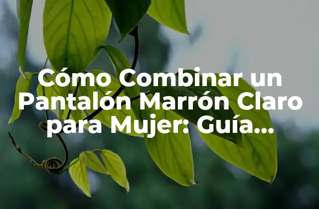 Cómo Combinar un Pantalón Marrón Claro para Mujer: Guía Completa 2 Colores que Se Llevan Bien con un Pantalón Marrón Claro