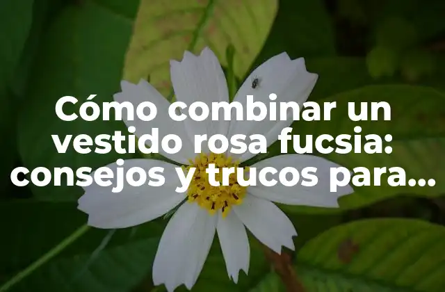 Cómo Combinar un Vestido Rosa Fucsia: Consejos y Trucos para un Look Impresionante