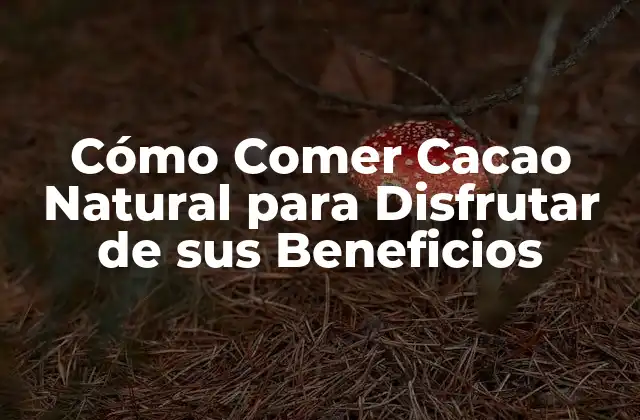 Cómo Comer Cacao Natural para Disfrutar de Sus Beneficios