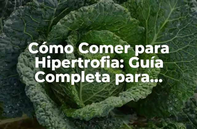 Cómo Comer para Hipertrofia: Guía Completa para Aumentar Masa Muscular