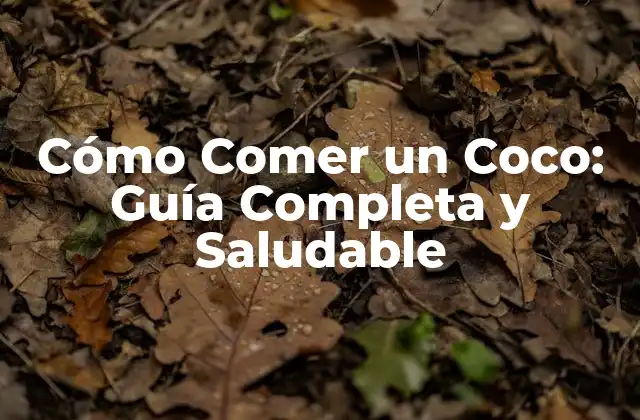 Cómo Comer un Coco: Guía Completa y Saludable