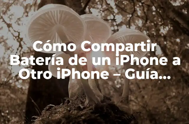 Cómo Compartir Batería de un Iphone a Otro Iphone - Guía Detallada 2 ¿Por qué es Importante Compartir Batería de un iPhone a Otro?