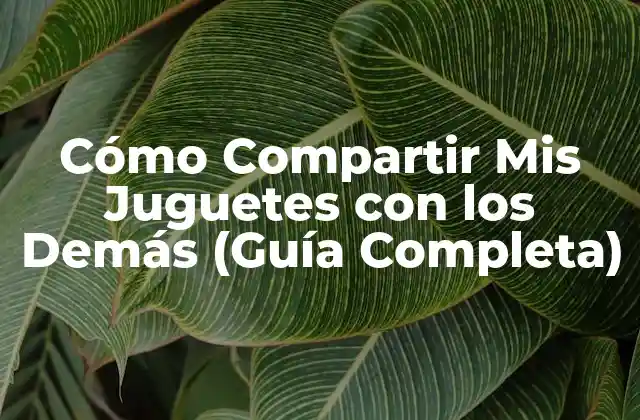 Cómo Compartir Mis Juguetes con los Demás (guía Completa)