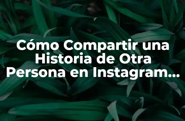 Cómo Compartir una Historia de Otra Persona en Instagram en Iphone – Tutorial Paso a Paso