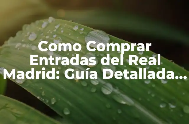 ¿Cuándo se ponen a la venta las entradas del Real Madrid?