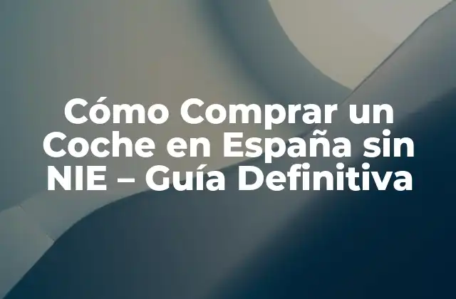 ¿Qué es un NIE y por qué es necesario?