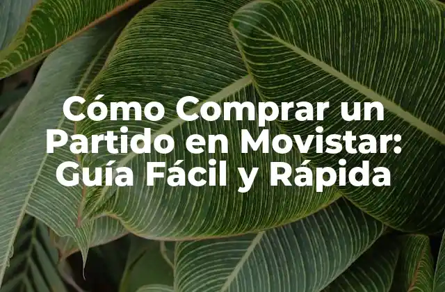 Cómo Comprar un Partido en Movistar: Guía Fácil y Rápida