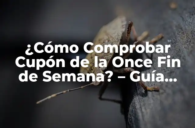 ¿cómo Comprobar Cupón de la Once Fin de Semana? – Guía Detallada