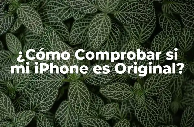 ¿cómo Comprobar Si Mi Iphone es Original?