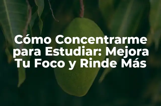 Cómo Concentrarme para Estudiar: Mejora Tu Foco y Rinde Más