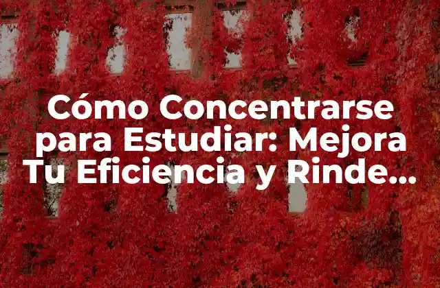 Cómo Concentrarse para Estudiar: Mejora Tu Eficiencia y Rinde Más