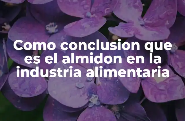 Como Conclusion que es el Almidon en la Industria Alimentaria