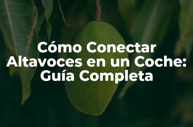 Cómo Conectar Altavoces en un Coche: Guía Completa