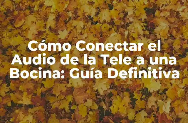 Cómo Conectar el Audio de la Tele a una Bocina: Guía Definitiva