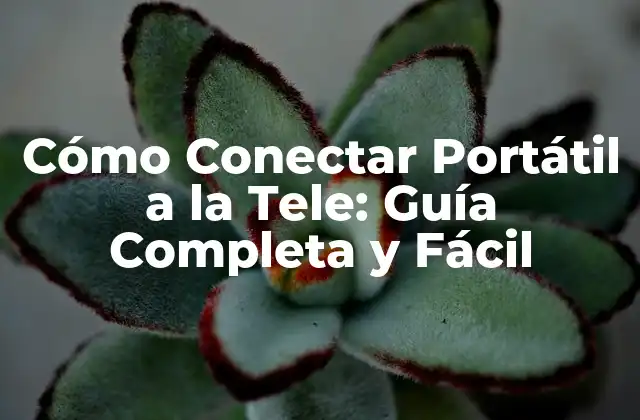 Cómo Conectar Portátil a la Tele: Guía Completa y Fácil
