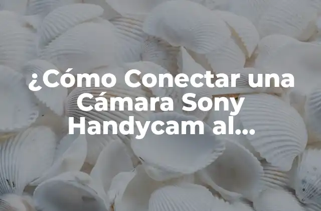 ¿cómo Conectar una Cámara Sony Handycam Al Ordenador de Forma Segura y Fácil?