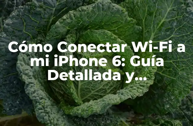 Cómo Conectar Wi-fi a Mi Iphone 6: Guía Detallada y Actualizada