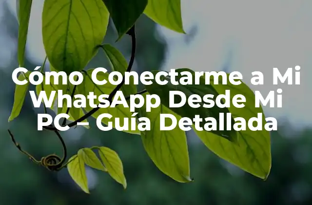 Cómo Conectarme a Mi Whatsapp desde Mi Pc - Guía Detallada 2 ¿Por qué Conectarme a Mi WhatsApp Desde Mi PC es Importante?