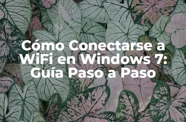 Cómo Conectarse a Wifi en Windows 7: Guía Paso a Paso