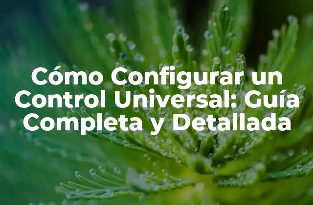 Cómo Configurar un Control Universal: Guía Completa y Detallada