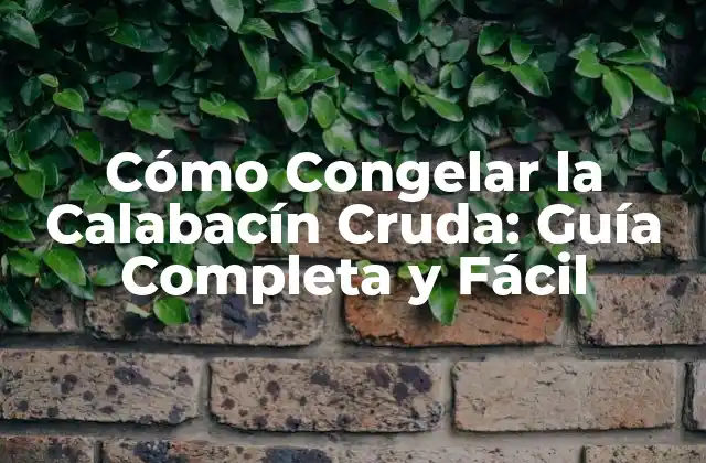 Cómo Congelar la Calabacín Cruda: Guía Completa y Fácil