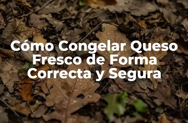 Cómo Congelar Queso Fresco de Forma Correcta y Segura