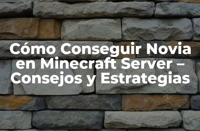 Entender el Entorno del Servidor de Minecraft