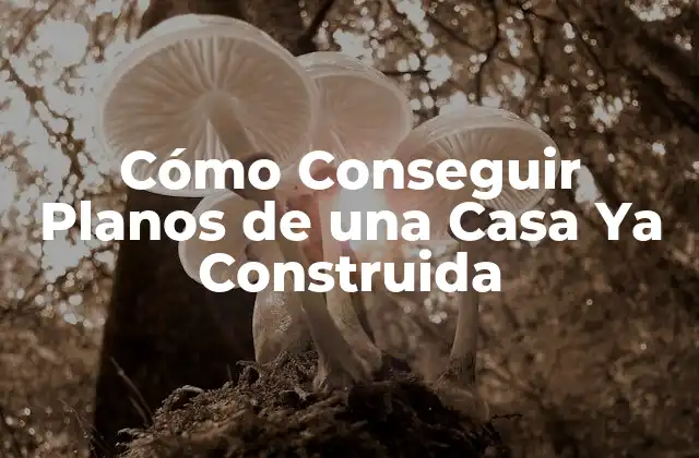Cómo Conseguir Planos de una Casa Ya Construida