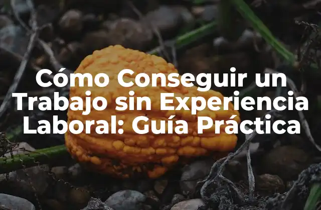 Cómo Conseguir un Trabajo sin Experiencia Laboral: Guía Práctica