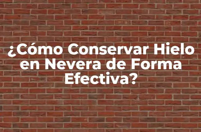 ¿cómo Conservar Hielo en Nevera de Forma Efectiva?