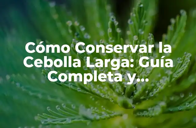 Cómo Conservar la Cebolla Larga: Guía Completa y Actualizada