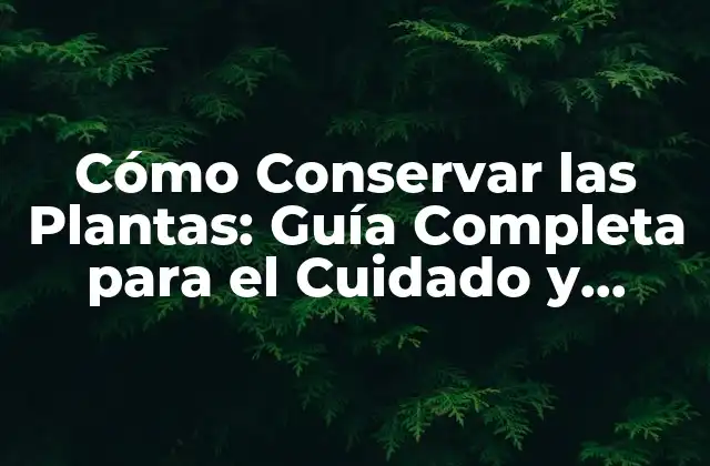 Cómo Conservar las Plantas: Guía Completa para el Cuidado y Mantenimiento de Tus Plantas Favoritas