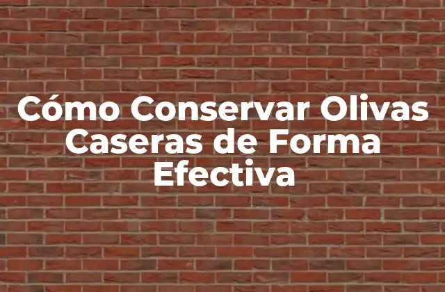 Cómo Conservar Olivas Caseras de Forma Efectiva