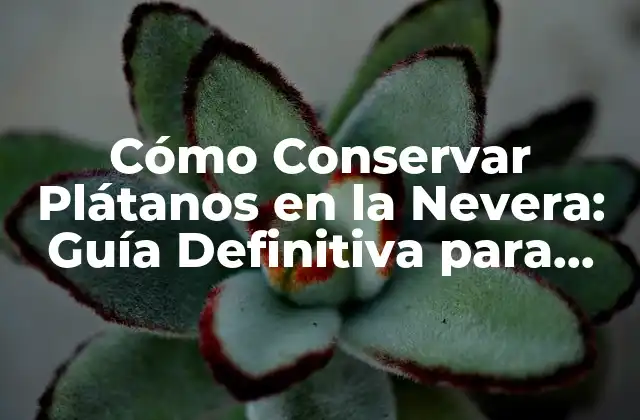 Cómo Conservar Plátanos en la Nevera: Guía Definitiva para Frescura y Durabilidad