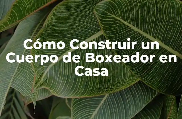 Cómo Construir un Cuerpo de Boxeador en Casa