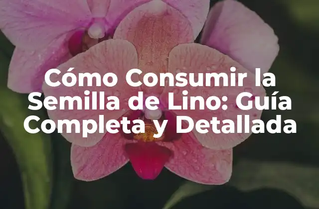 ¿Qué es la Semilla de Lino y Cuáles son sus Propiedades?