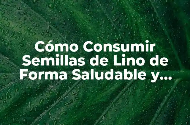 Cómo Consumir Semillas de Lino de Forma Saludable y Eficiente