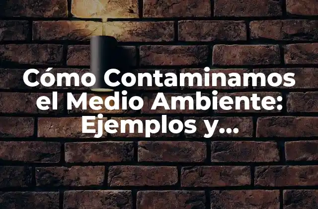 Cómo Contaminamos el Medio Ambiente: Ejemplos y Consecuencias 2 La Contaminación del Aire: Causas y Efectos
