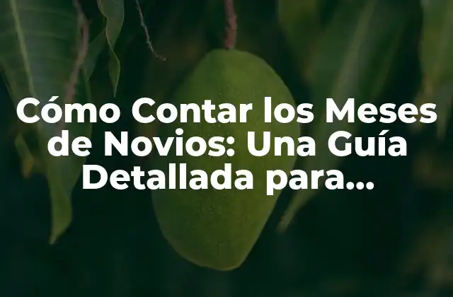Cómo Contar los Meses de Novios: una Guía Detallada para Celebrar el Amor