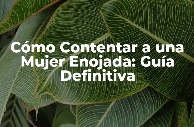 Cómo Contentar a una Mujer Enojada: Guía Definitiva