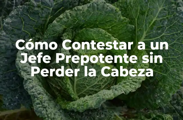 Cómo Contestar a un Jefe Prepotente sin Perder la Cabeza