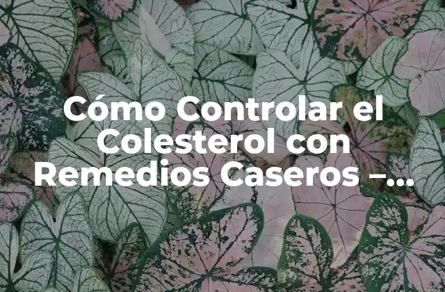 ¿Cuál es el papel del colesterol en el cuerpo?