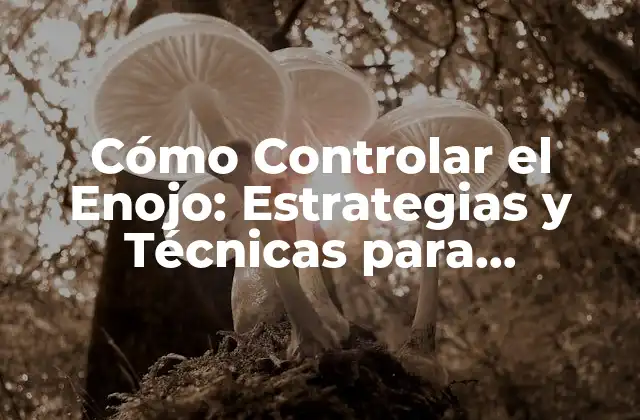 Cómo Controlar el Enojo: Estrategias y Técnicas para Mantener la Calma