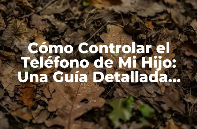 Cómo Controlar el Teléfono de Mi Hijo: una Guía Detallada para Padres