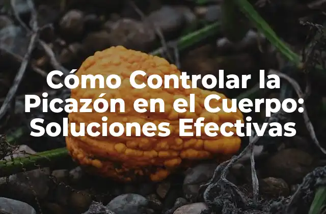Cómo Controlar la Picazón en el Cuerpo: Soluciones Efectivas