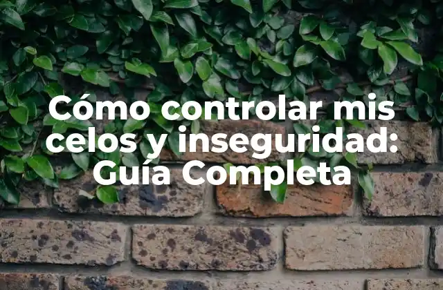 Cómo Controlar Mis Celos y Inseguridad: Guía Completa