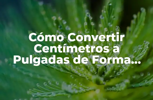 Cómo Convertir Centímetros a Pulgadas de Forma Sencilla