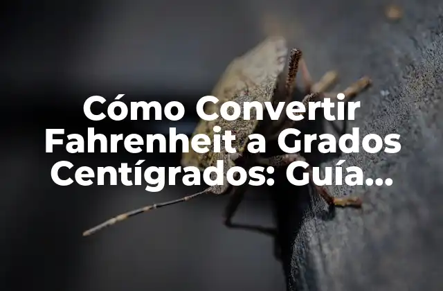 ¿Por qué es Importante Convertir Fahrenheit a Grados Centígrados?
