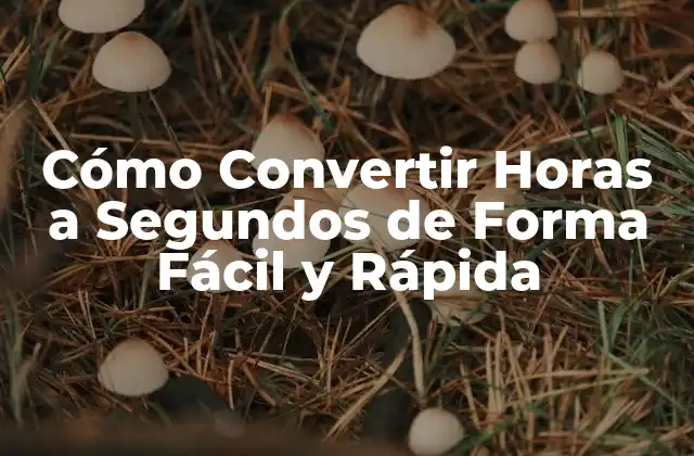 Cómo Convertir Horas a Segundos de Forma Fácil y Rápida